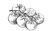 Minerālvielas